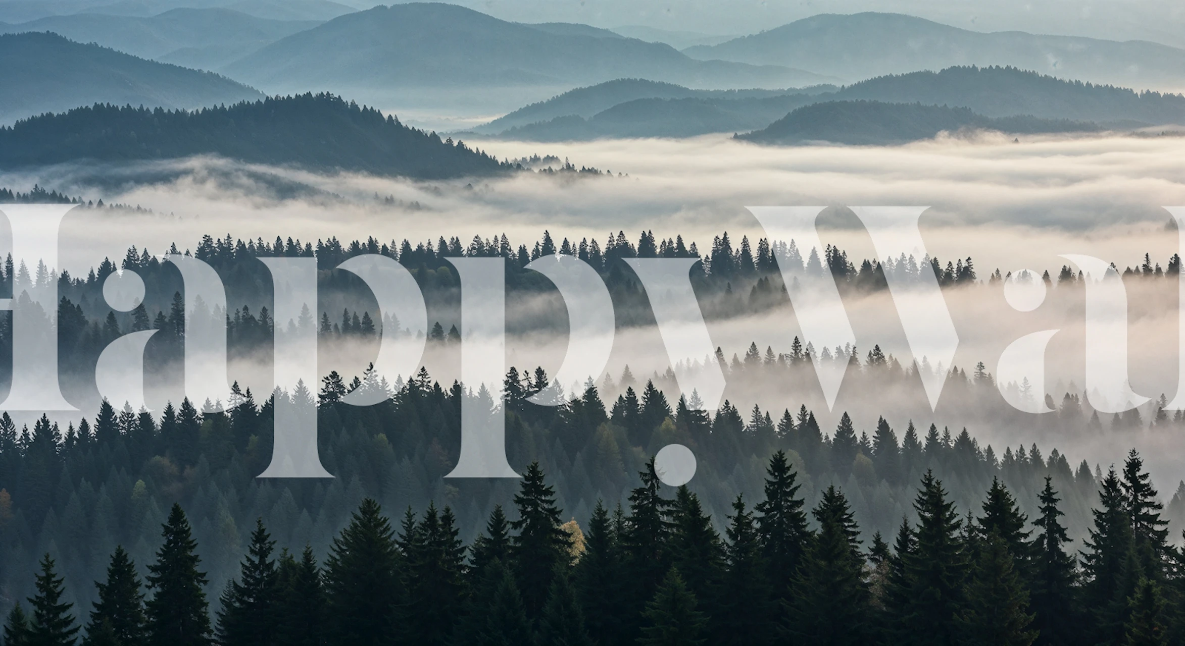 Misty mountain pine forest wallpaper in a room