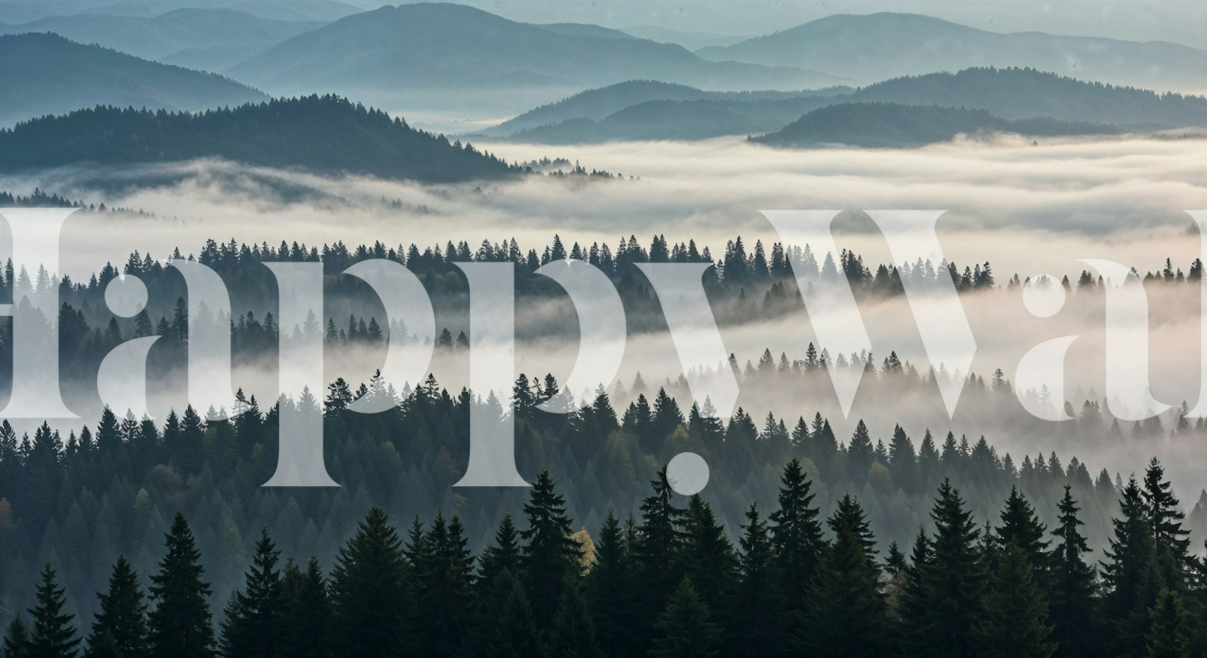 Misty Mountain Pine Forest behang in een kamer