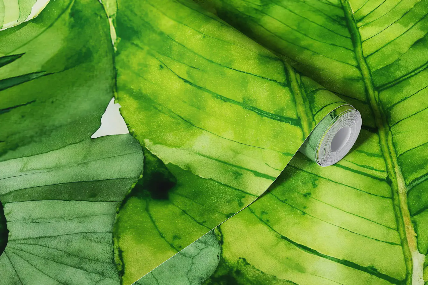 Monstera And Banana Leaf Mix wallpaper roll