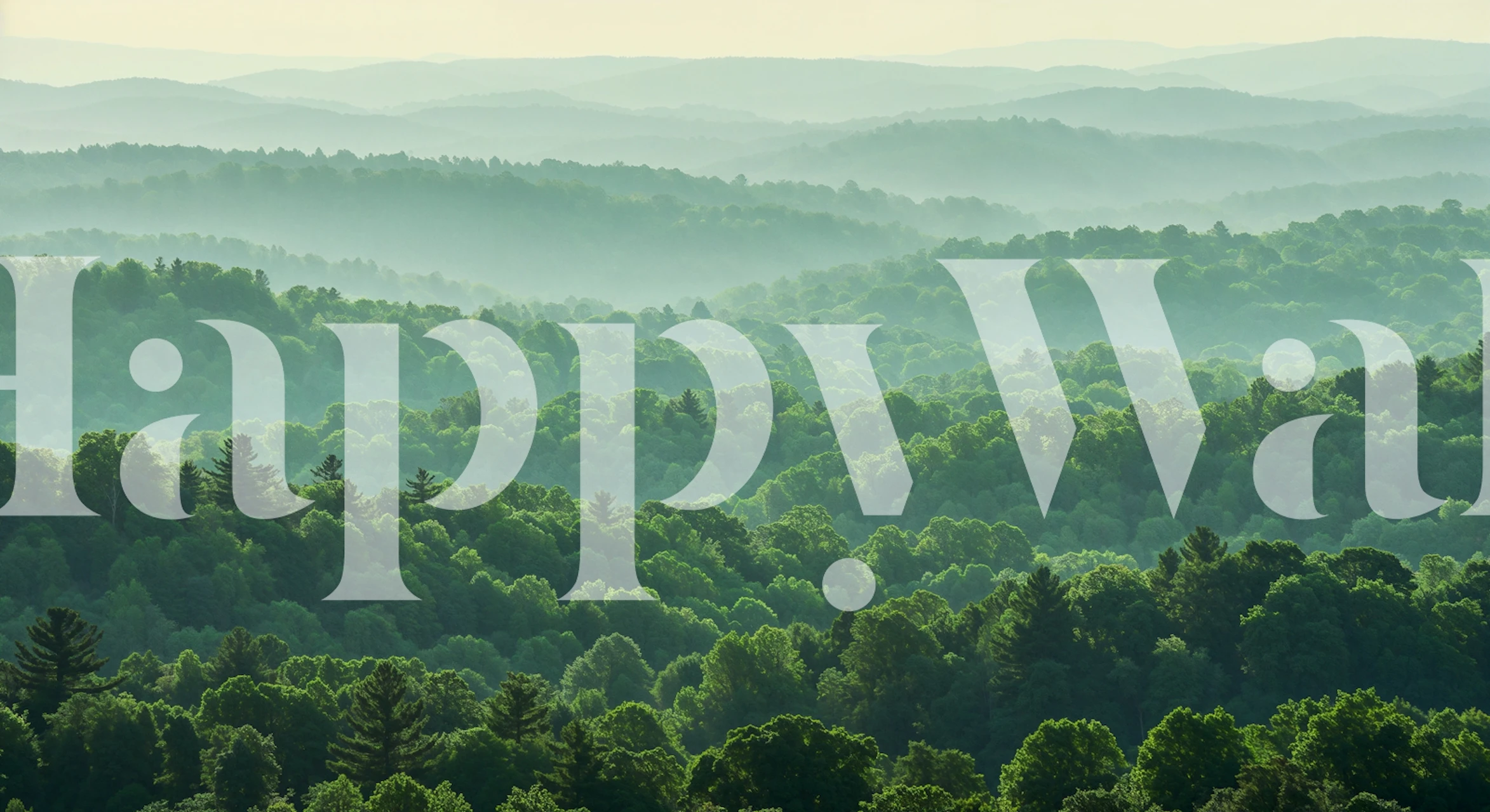 Misty mountain forest wallpaper in a room