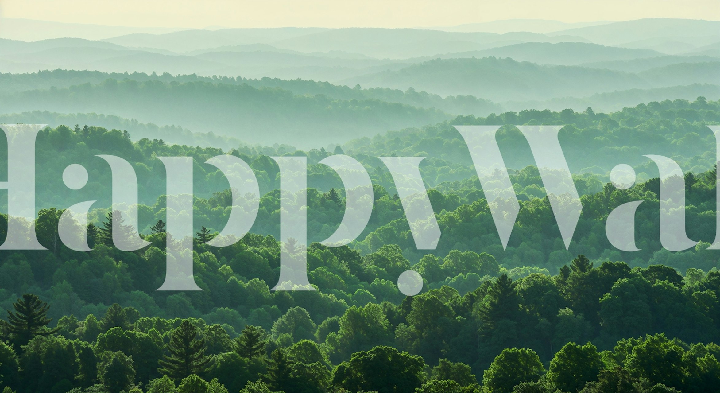 Nebeliger Bergwald Tapete in einem Raum