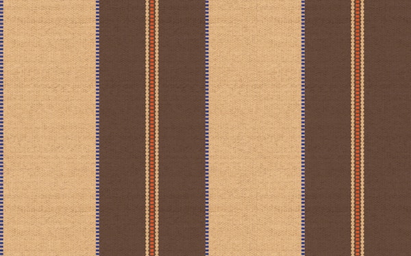 Earthy Rug Stripes