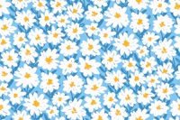 Daisy Doodle Flower Field - Sky Blue wallpaper