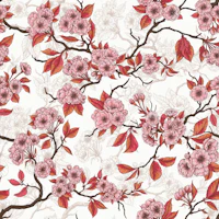 Cherry blossom in pink red and white tapetas
