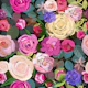 Vibrant Floral Garden Night