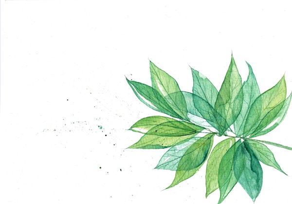 Soft Green Botanical Leaves