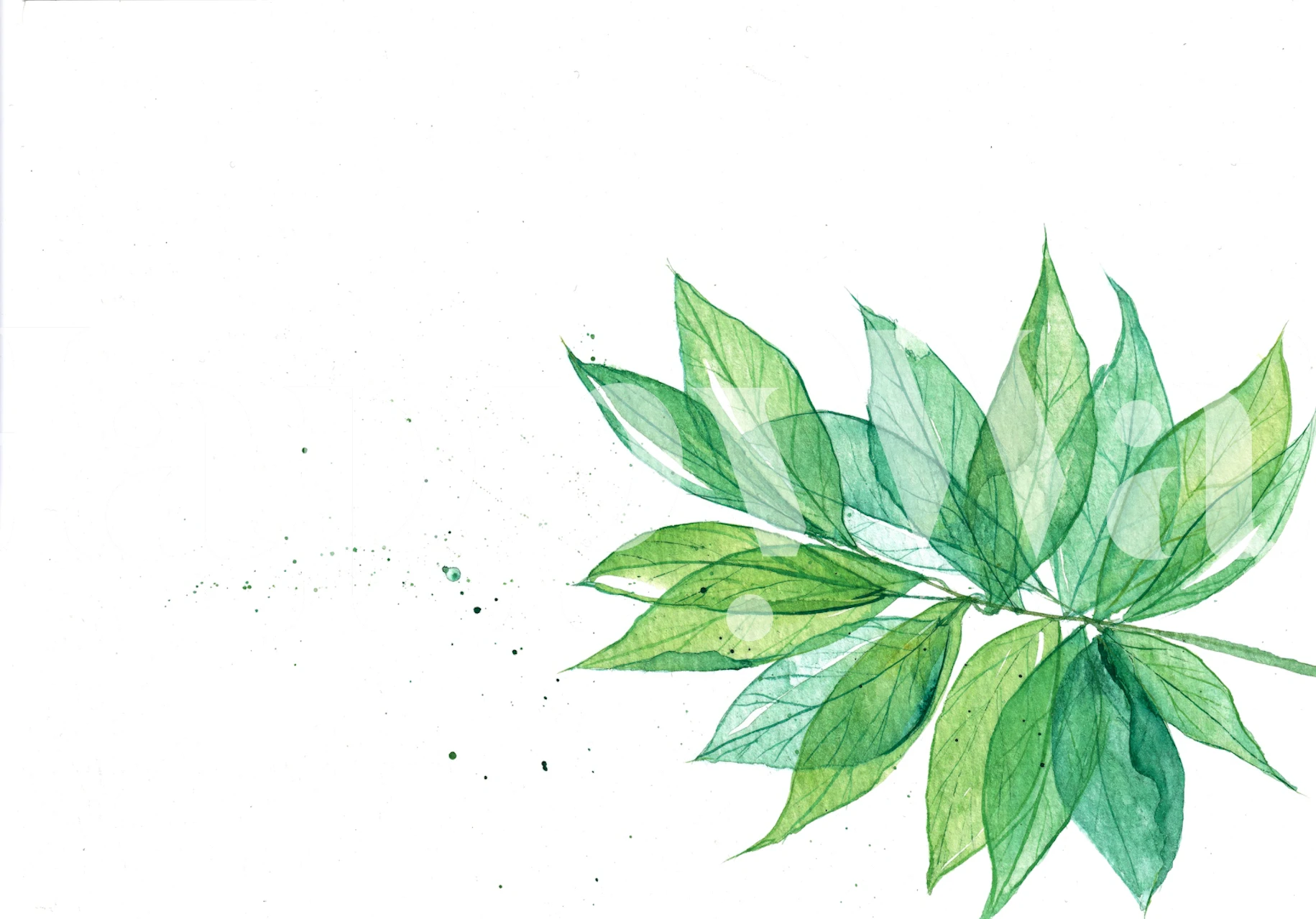 Mjuka gröna botaniska blad tapet i ett rum