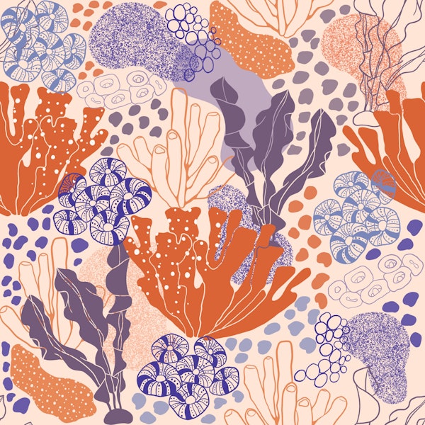 Coastal Coral and Shell Doodles