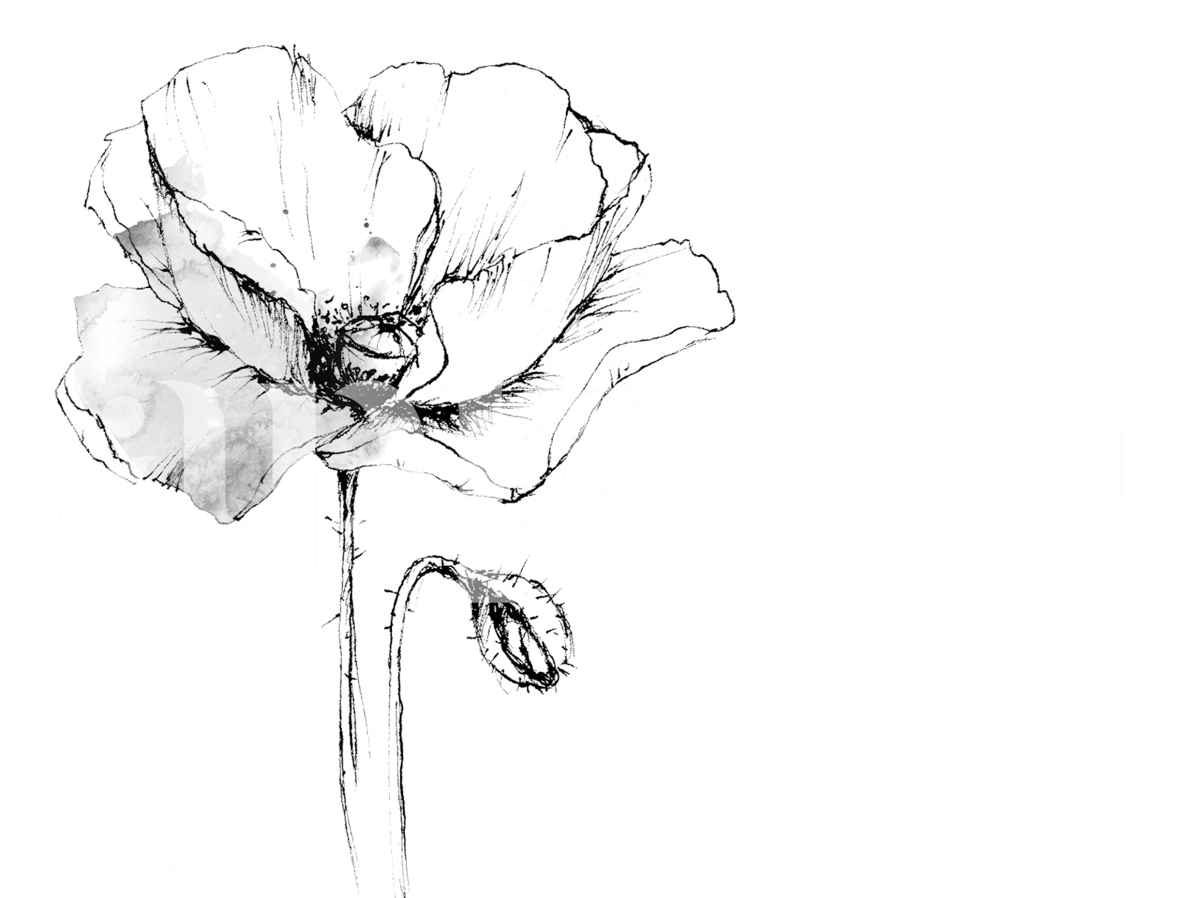 Elegant Botanical Sketch wallpaper in a room