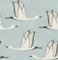 Flying birds - mint background wallpaper