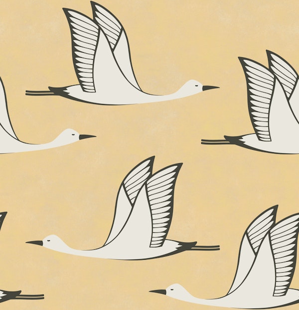 Flying birds - warm yellow background