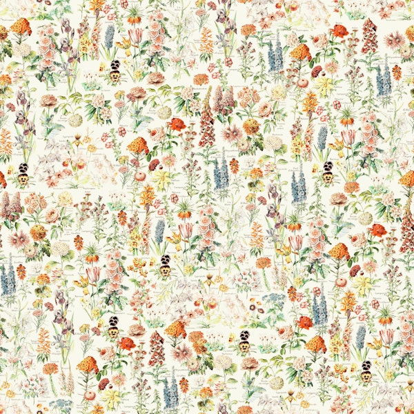 Adolphe Millot Cottagecore Flowers