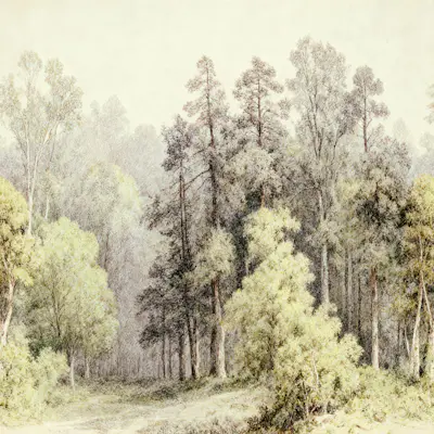 Horisontellt mönster