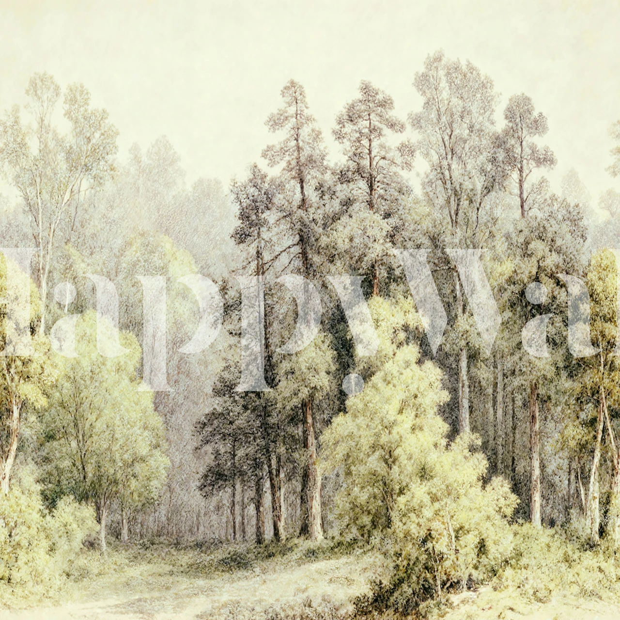 Sunlit birch and pine trees wallpaper in a room