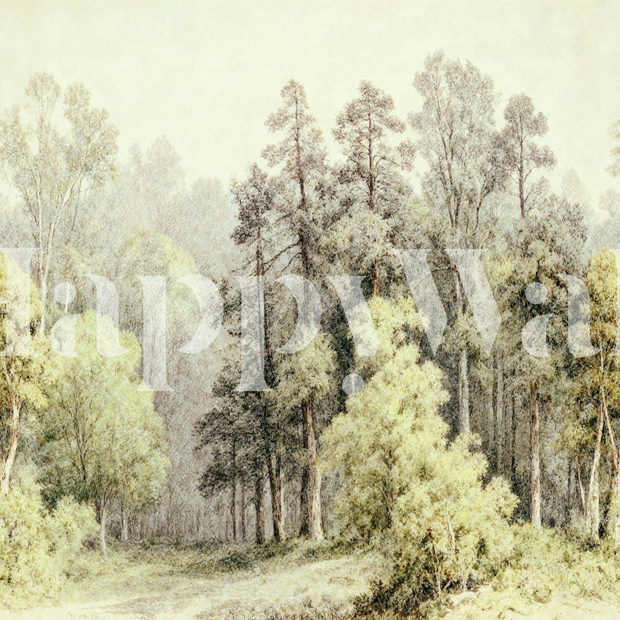 Solbelysta björk- och tallträd tapet i ett rum