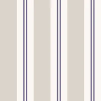 Modern Regency Stripes Violet and Silver wallpaper