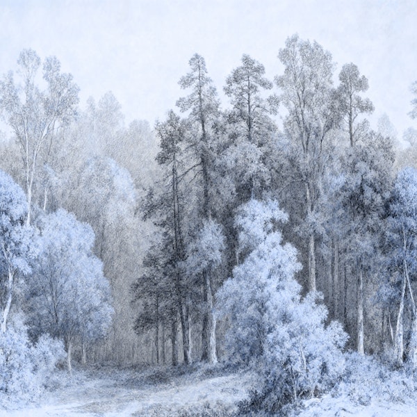 Blue Grey Forest Retreat