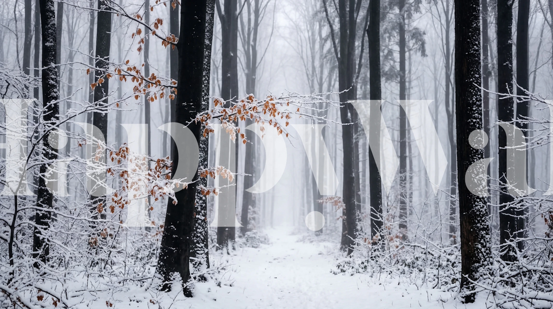 Snowy Autumn wallpaper in a room setting
