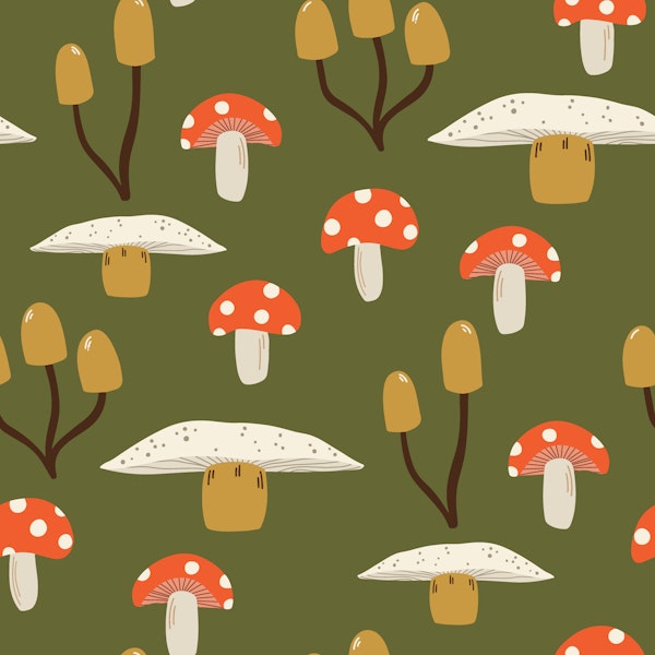 Retro mushroom toadstool on olive green