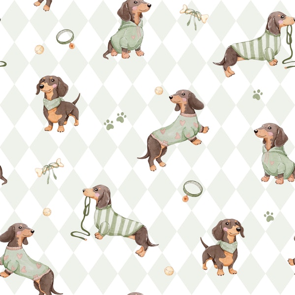 Doxie Pups - olive diamonds dachshund