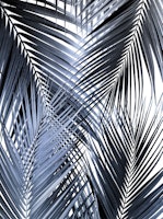 Blue Black Palm Leaves 1 tapet