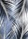 Blue Black Palm Leaves 1