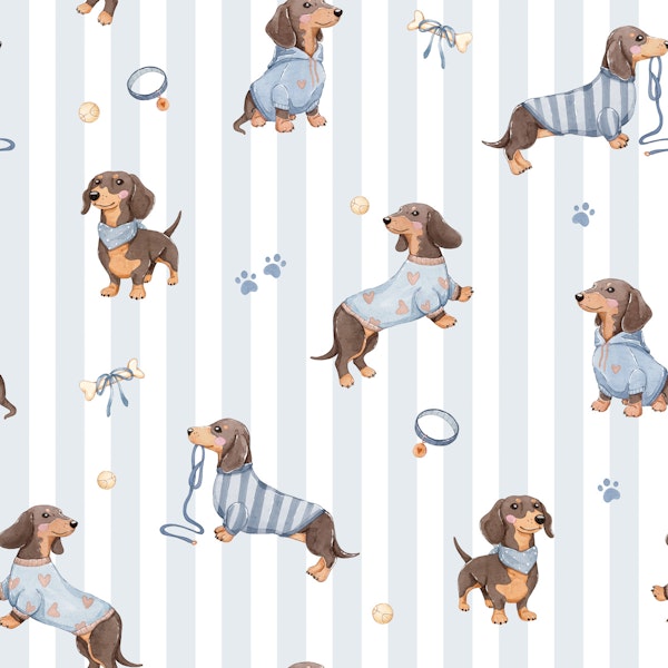 Doxie Pups - blue stripes dachshund