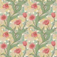 Springtime charming tulips