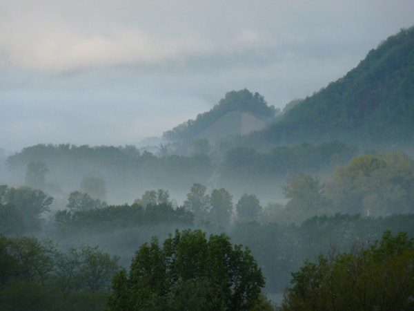 Misty Hills