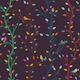 Fuchsia Night Woodland Branches with Birds