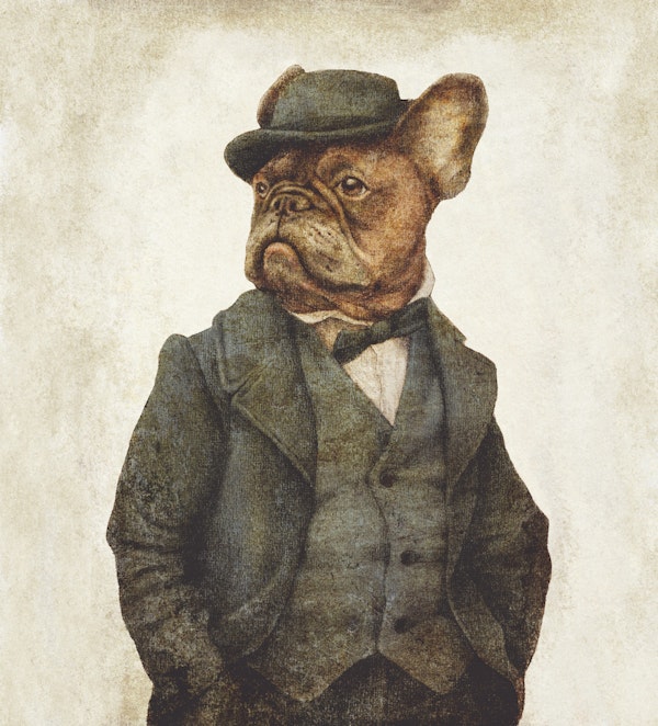 The French Gentleman