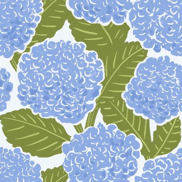 Blue and Green Hydrangea Garden