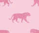 Tiger walk - vibrant pink