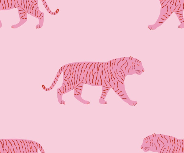 Tiger walk - vibrant pink