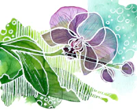 Modern Botanical Orchid wallpaper