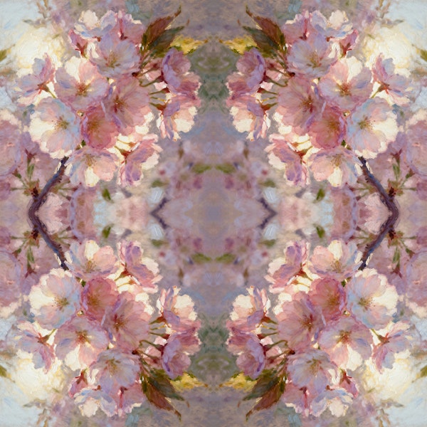 Cherry Blossom Kaleidoscope