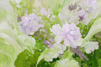 Pastel Peony Blooms Green wallpaper