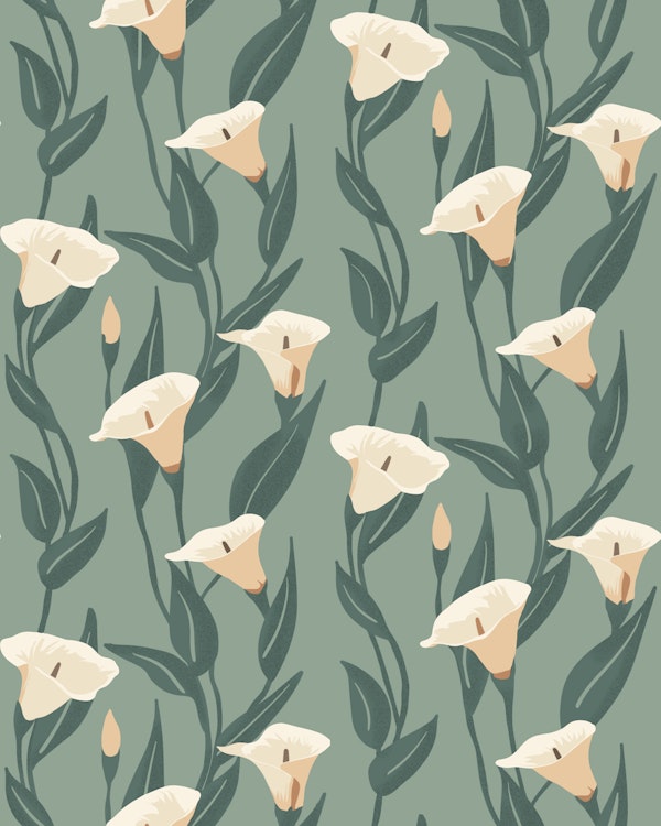 Minimal Calla Lilies Sage Green