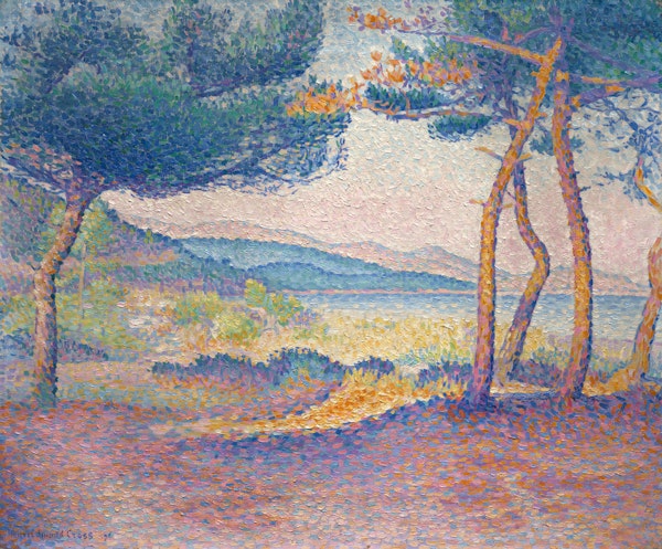 Pines Along the Shore - Cross - Aster