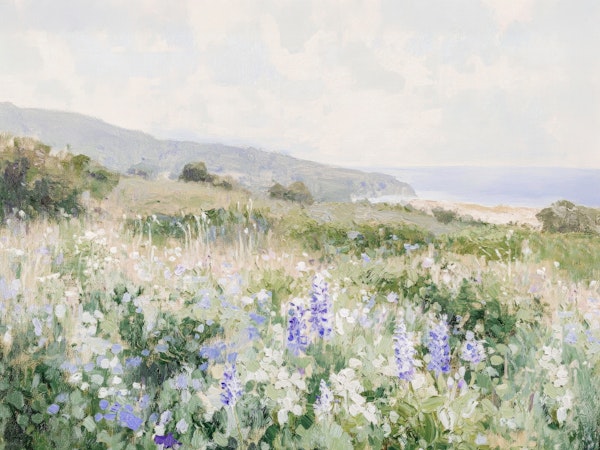 Coastal Wildflower Meadow