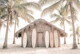 Surf Shack Under Palm Trees
