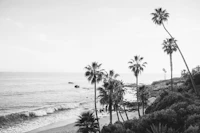 Laguna Beach BW tapeta