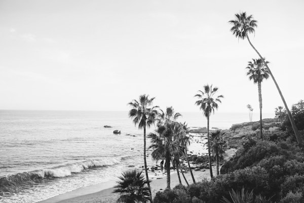 Laguna Beach BW