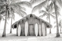 Coastal Surf Shack Black and White wallpaper