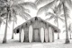 Coastal Surf Shack Black and White