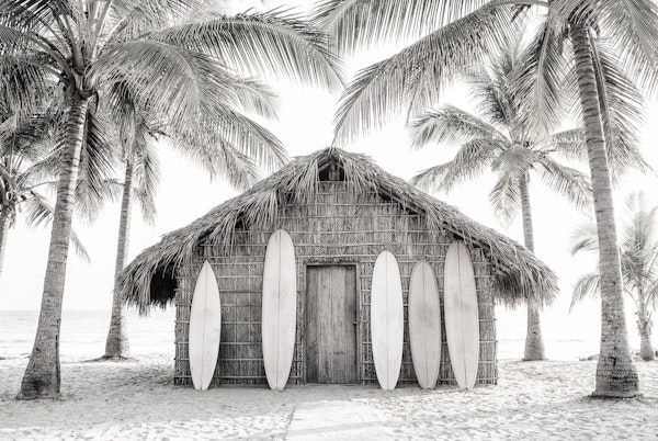 Coastal Surf Shack Black and White