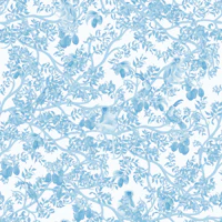 Ariel Toucans Blue Toile wallpaper