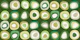 Mid Century Modern Pebbles Green Dark