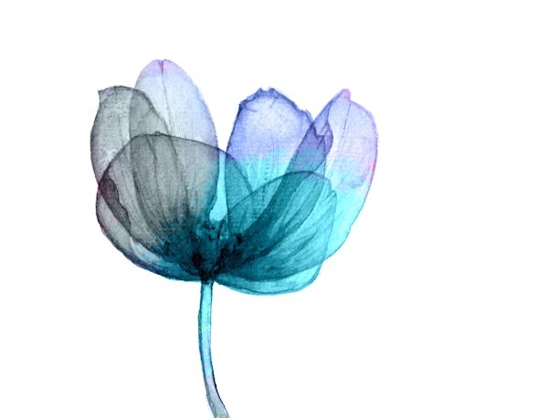 Soft Blue Botanical Blossom