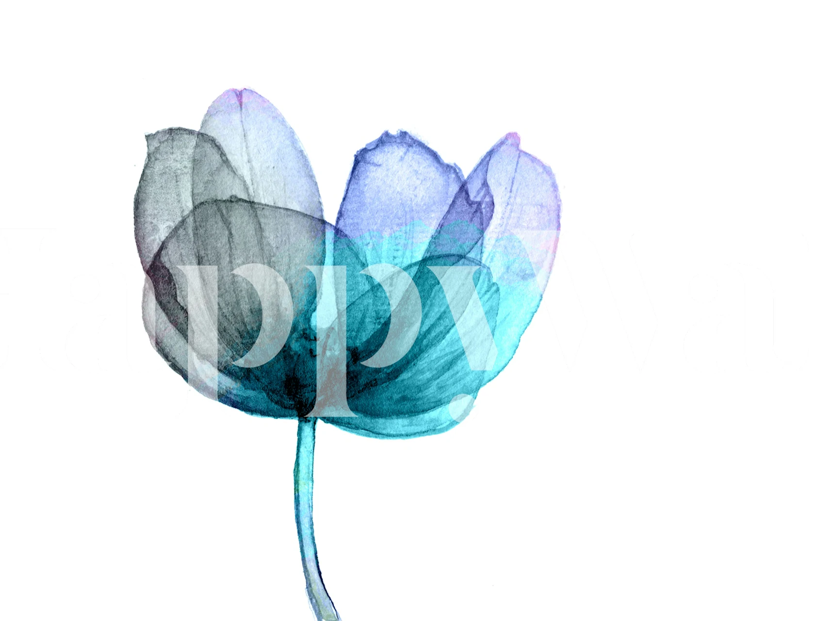 Soft Blue Botanical Blossom wallpaper design in a room